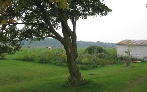 IMG_4049_-_Overview.jpg