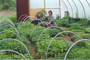 Huguenot greenhouse