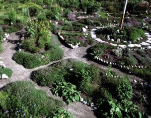 sacred-medecine-wheel-garden.jpg