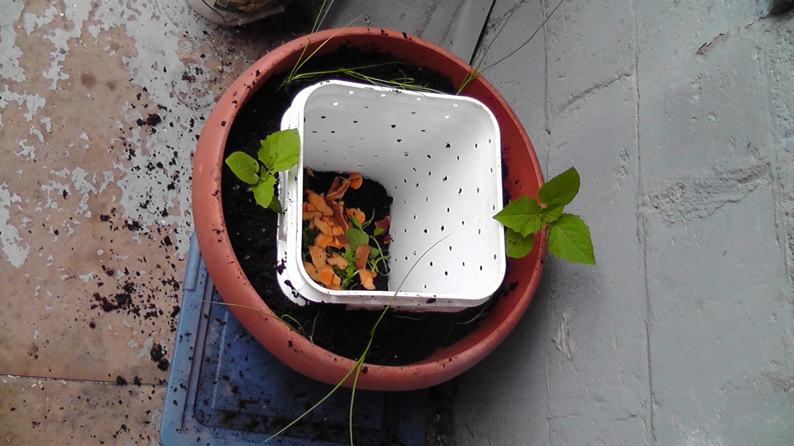 Un balcompost tout juste terminé