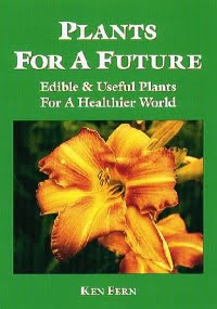 Plants For A Future - Edible & Useful Plants For A Healthier World ...