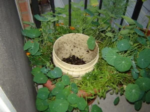 DIY Balcony composter - October 2019 to March 2020 [Info in the